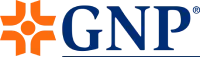 GNP